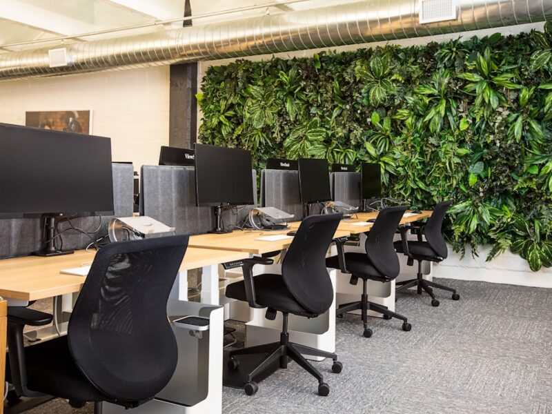 Picking an Office Chair That Will Not Wreck Your Back