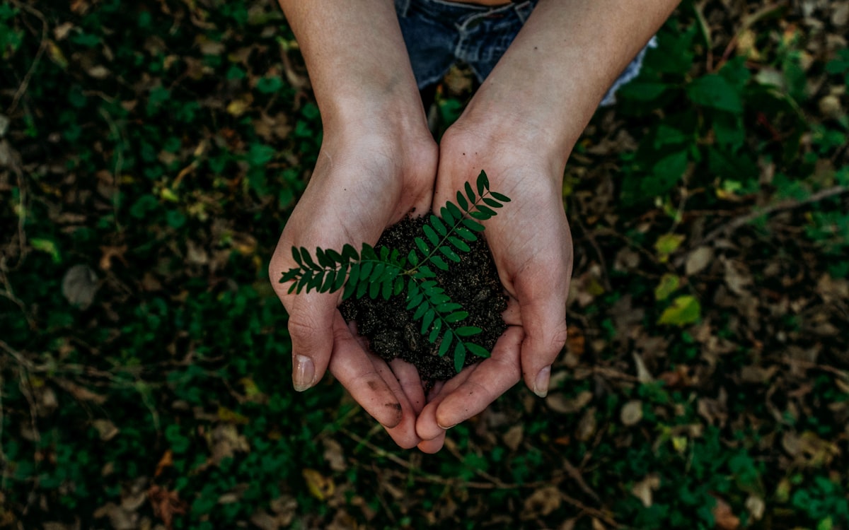 The Look of Sustainability on Packaging